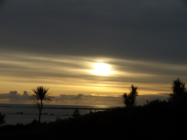 capepalliser01