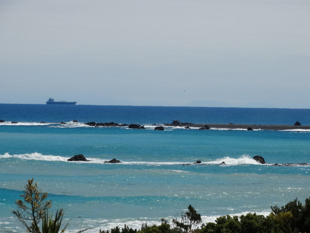 capepalliser06